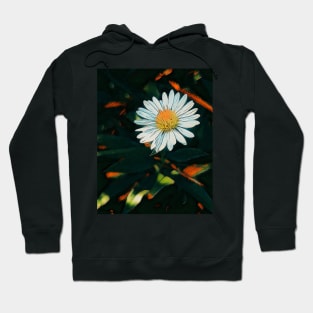 Tiny Daisy - Burnt Orange Hoodie